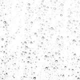 Mystic Awakening Rosemary Toning Mist